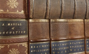 Leather book spines on panel