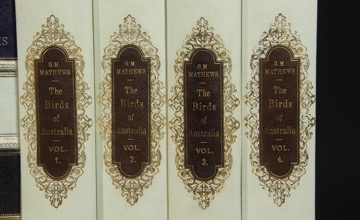 Leather book spines on panel