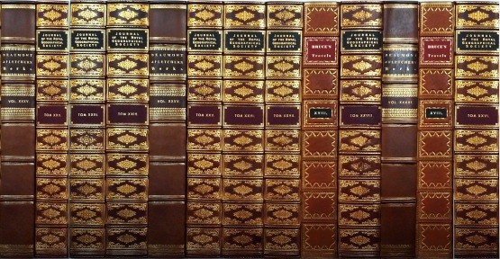 Leather Book Spines on Panels