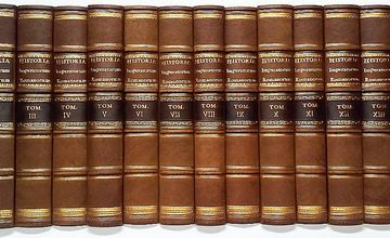 Valuable book collection - decorative panels