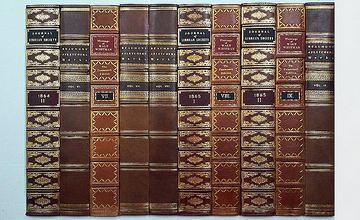 Valuable book collection - decorative panels