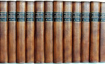 Valuable book collection - decorative panels