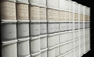 Valuable book collection - decorative panels