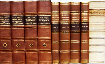 Valuable book collection - decorative panels