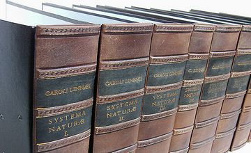 Embossed leather binder